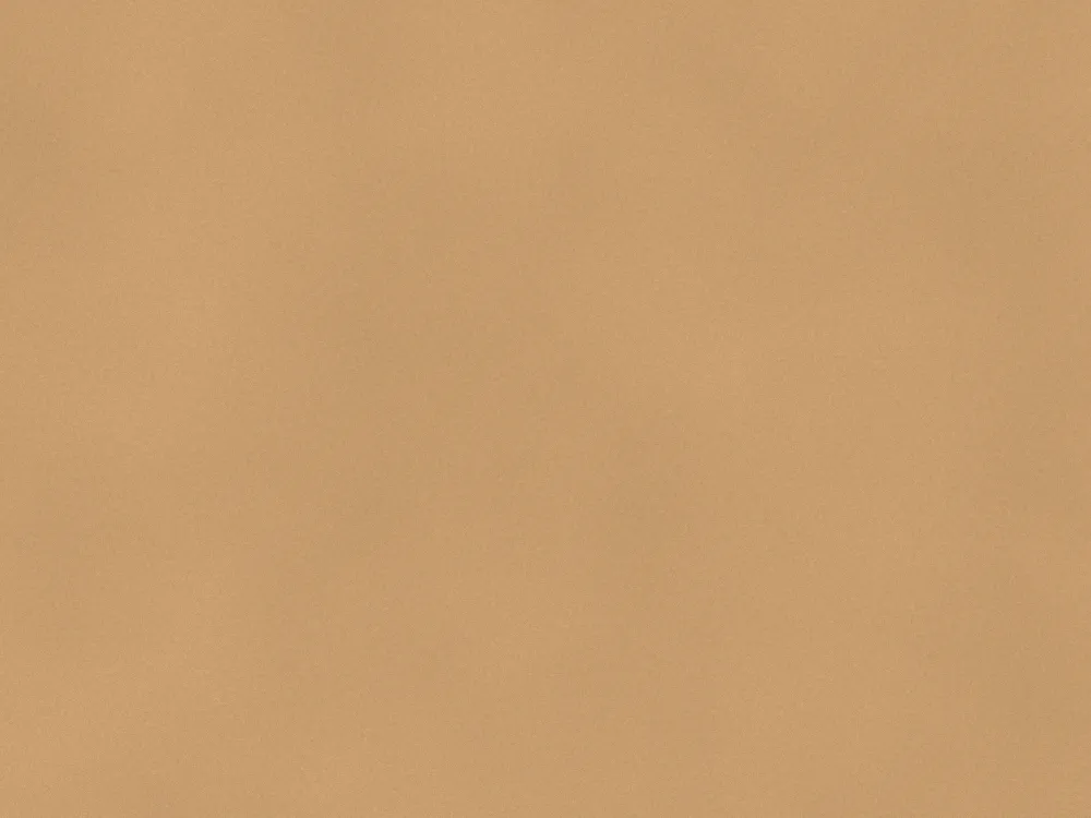 44mm FD30 Fire Door Blank 2135 x 915mm, surface close-up