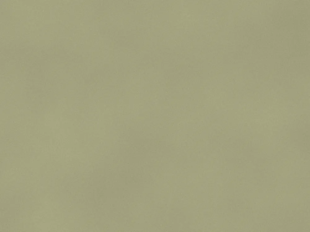 18mm Moisture Resistant MDF 2440 x 1220mm, surface close-up