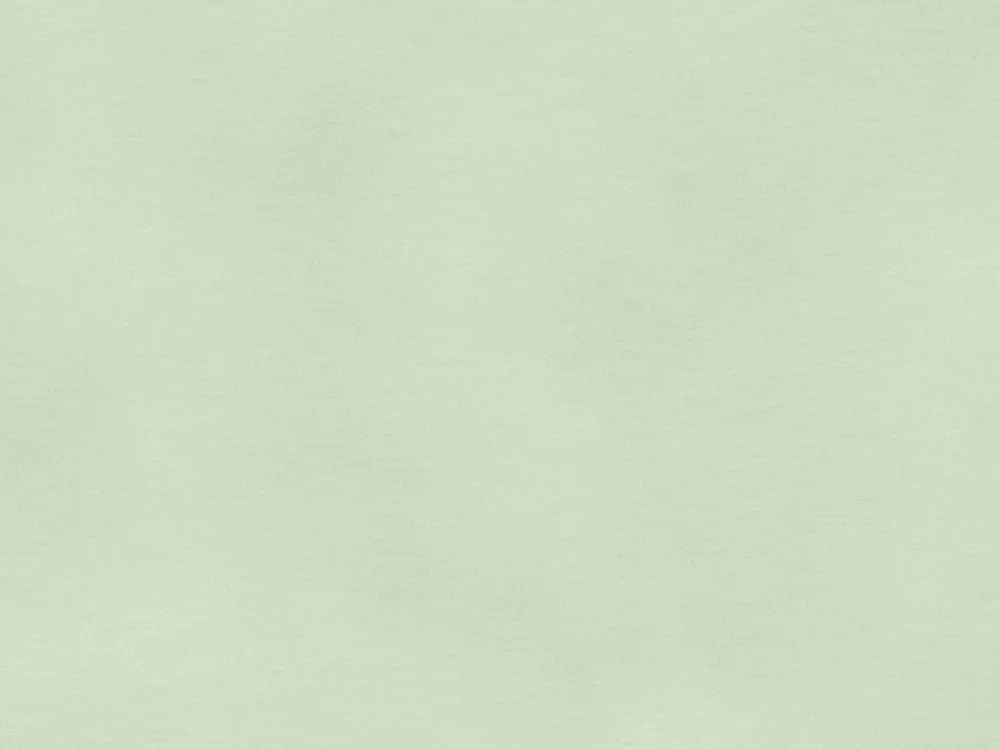 12.5mm Moisture Resistant Plasterboard 2400 x 1200mm, surface close-up