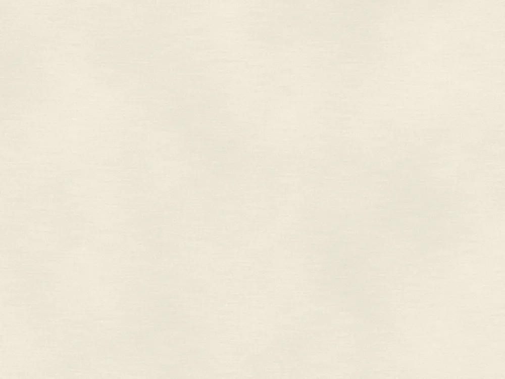 9.5mm Standard Plasterboard Tapered Edge 2400 x 1200mm, surface close-up