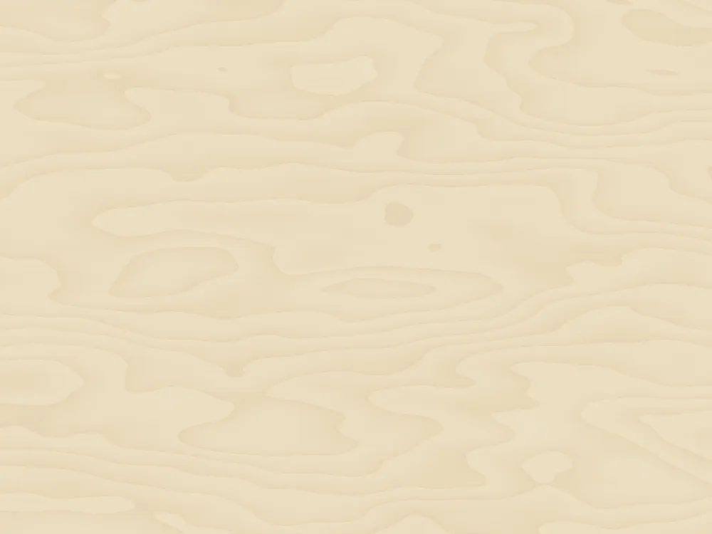 18mm Birch Plywood BB/BB 2440 x 1220mm, surface close-up