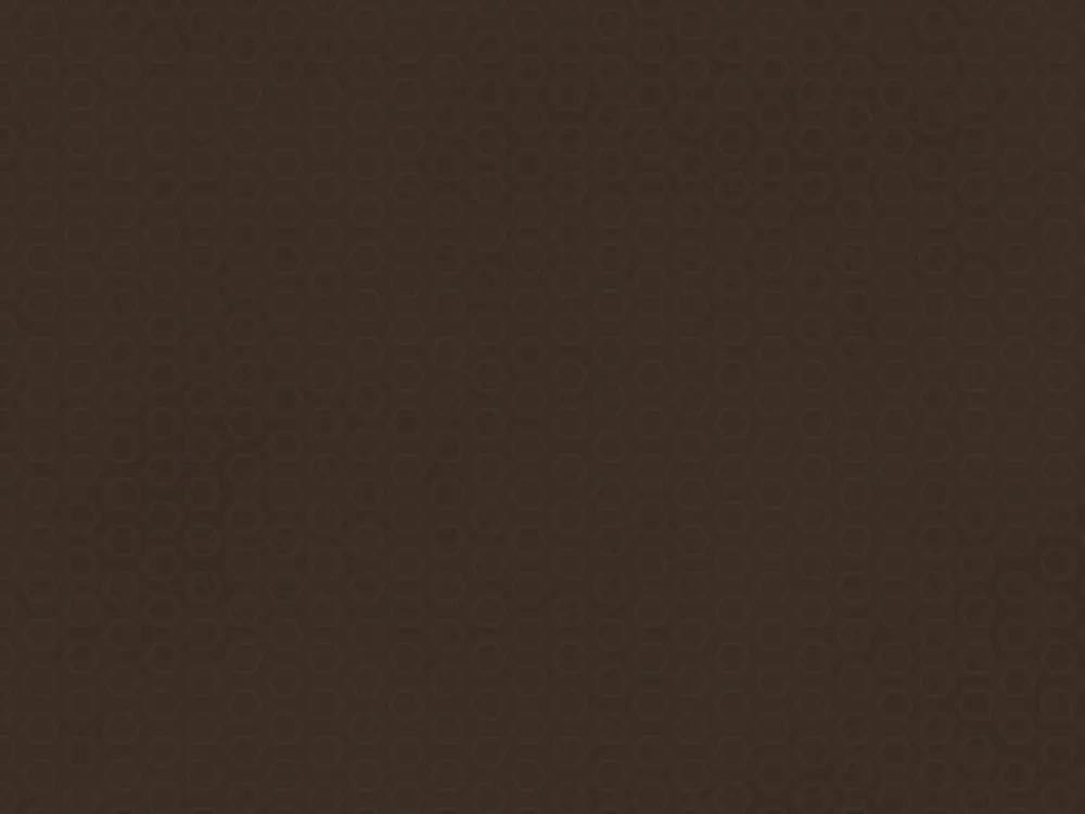 21mm Anti-Slip Hexa Phenolic Birch Plywood 2500 x 1250mm, surface close-up