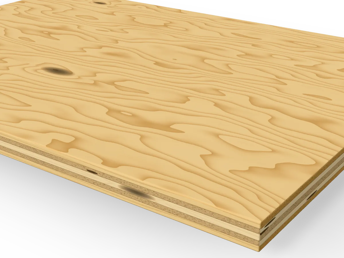12mm Softwood Shuttering Plywood 2440 x 1220mm, close-up of the edge